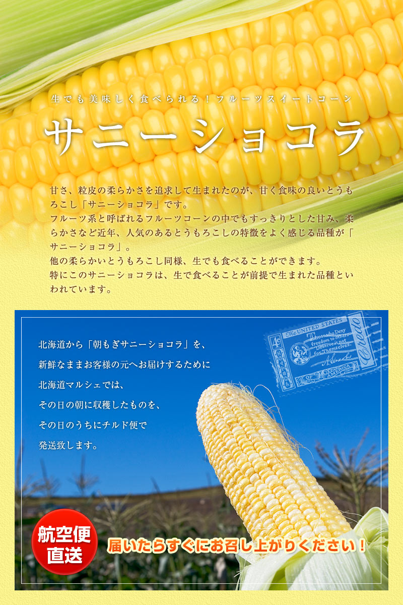 とうもろこし サニーショコラ