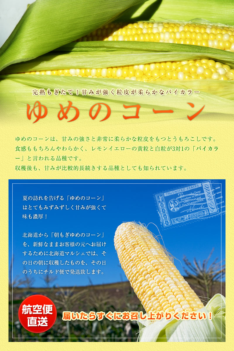 ゆめのコーン