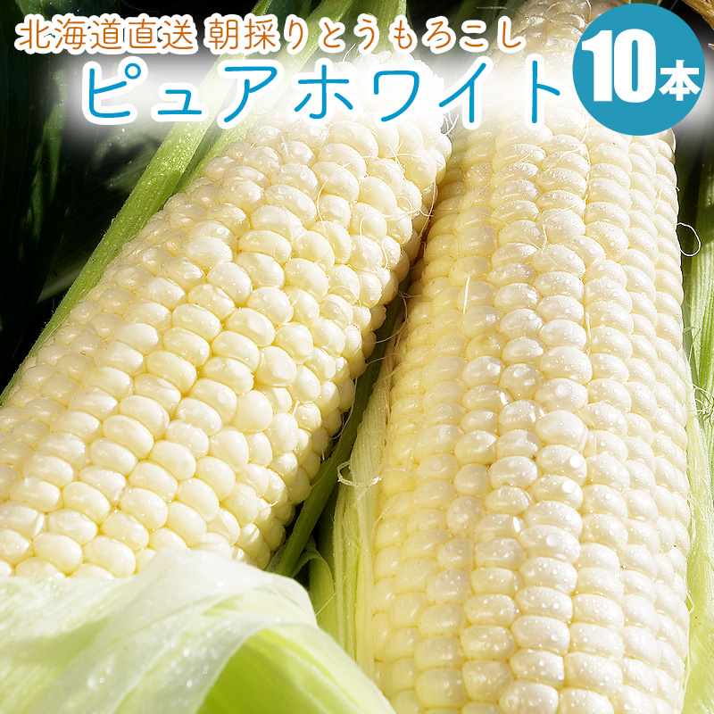 ピュアホワイト