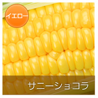 ���ˡ����祳��