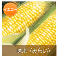 ̣��ʤߤ餤��