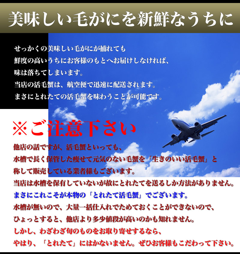 航空便で活毛蟹をお届け