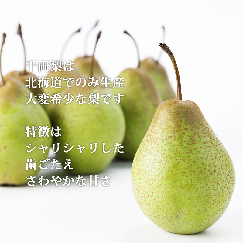 千両梨