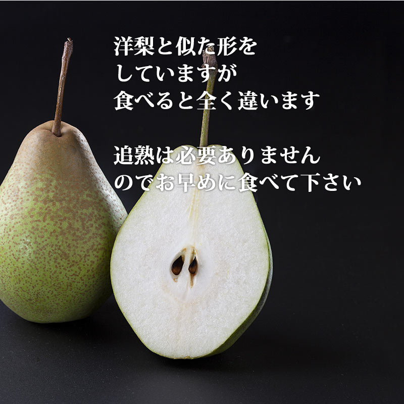 千両梨