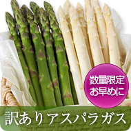 �����ꥢ���ѥ饬��