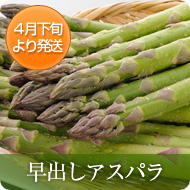 ��Ф������ѥ饬��