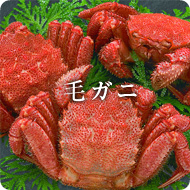�ӥ���