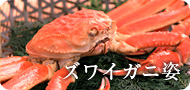 ���磻���˻�
