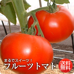 �ե롼�ĥȥޥ�