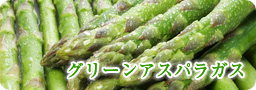 ���꡼�󥢥��ѥ饬��