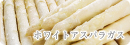 �ۥ磻�ȥ����ѥ饬��