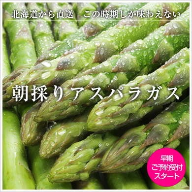 ī�Τꥢ���ѥ饬��
