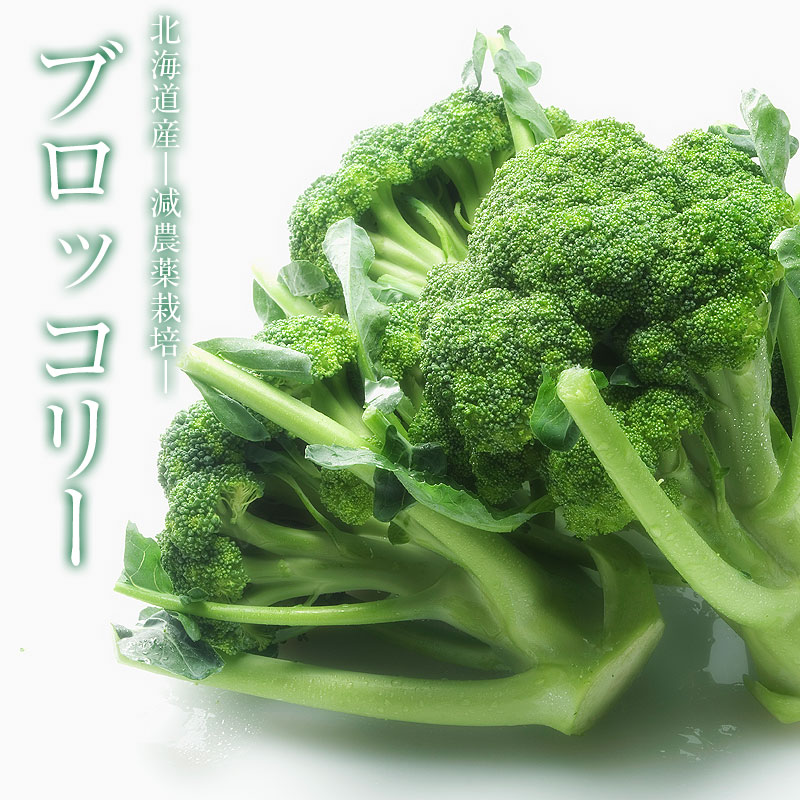 ブロッコリー