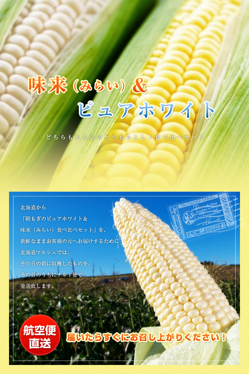とうもろこし ピュアホワイト+味来食べ比べセット