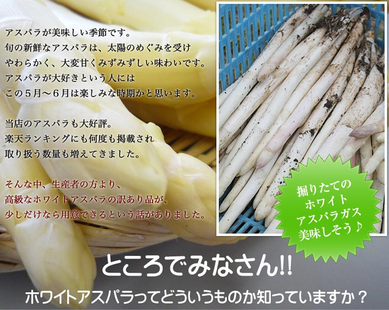 訳ありホワイトアスパラガス