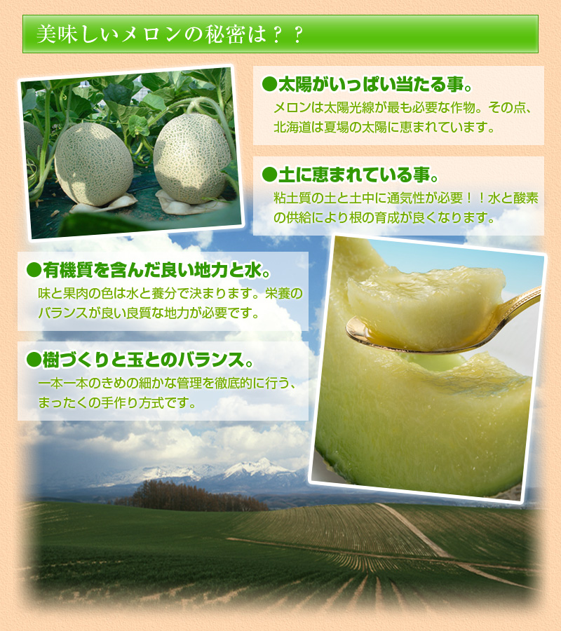 美味しいメロンの秘密