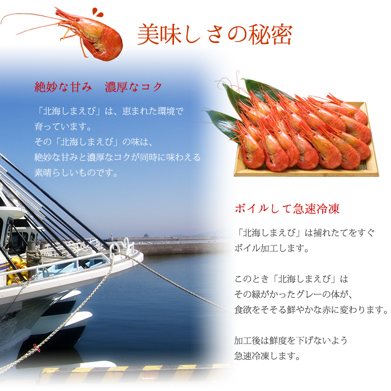 北海しまえび2