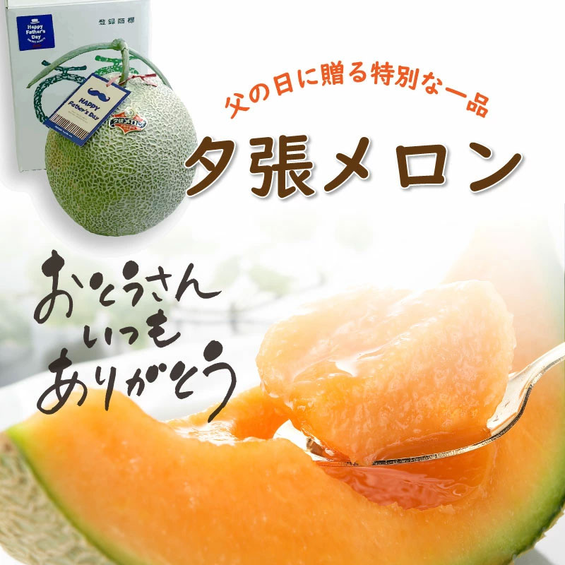 【父の日ギフト】北海道夕張メロン