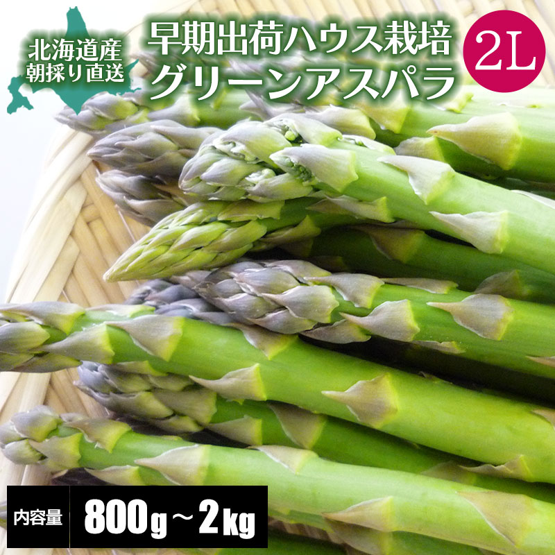 ２Ｌサイズ