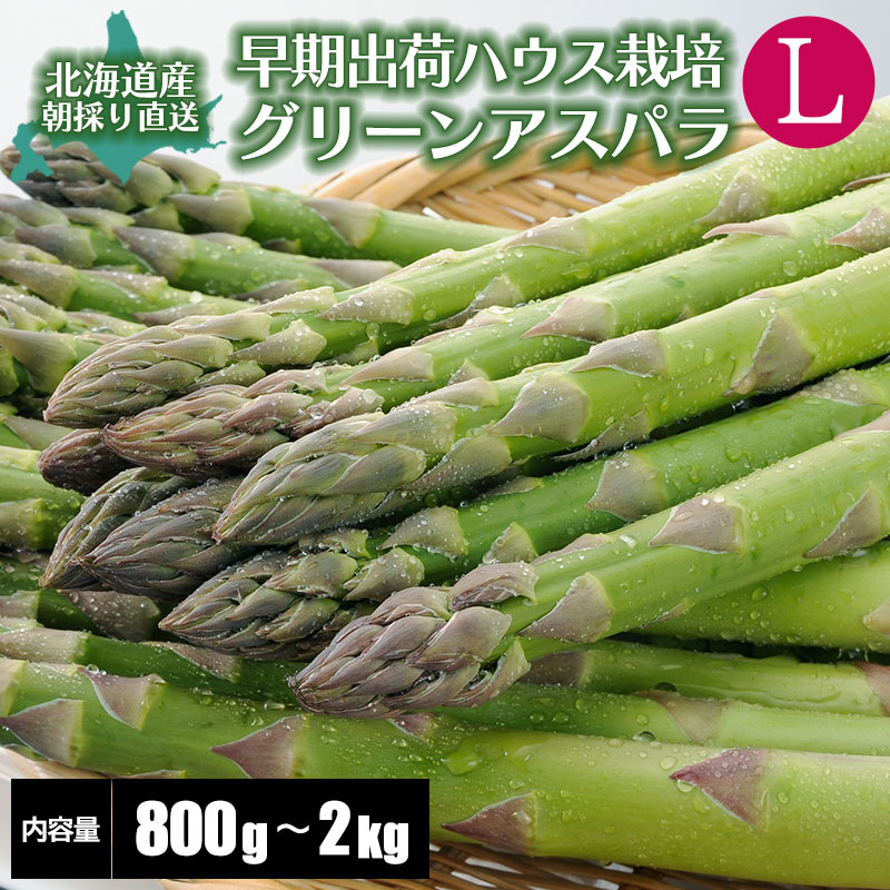 Ｌサイズ