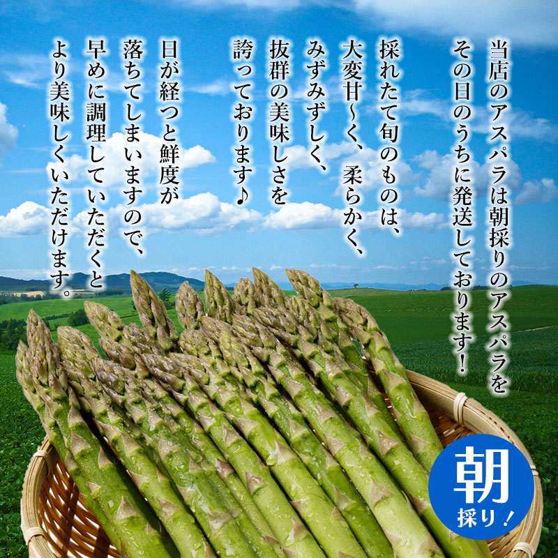 早期出荷アスパラガス