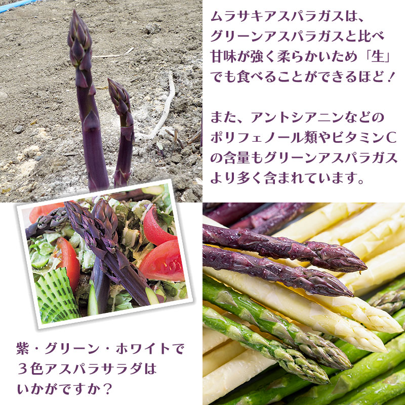 北海道直送紫アスパラガス