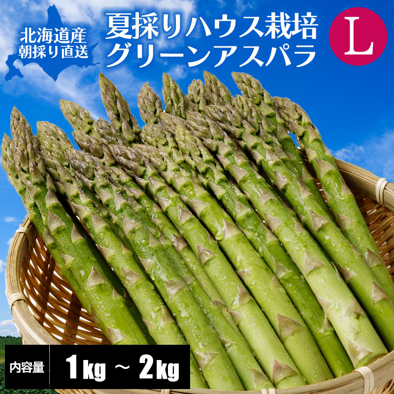 Ｌサイズ