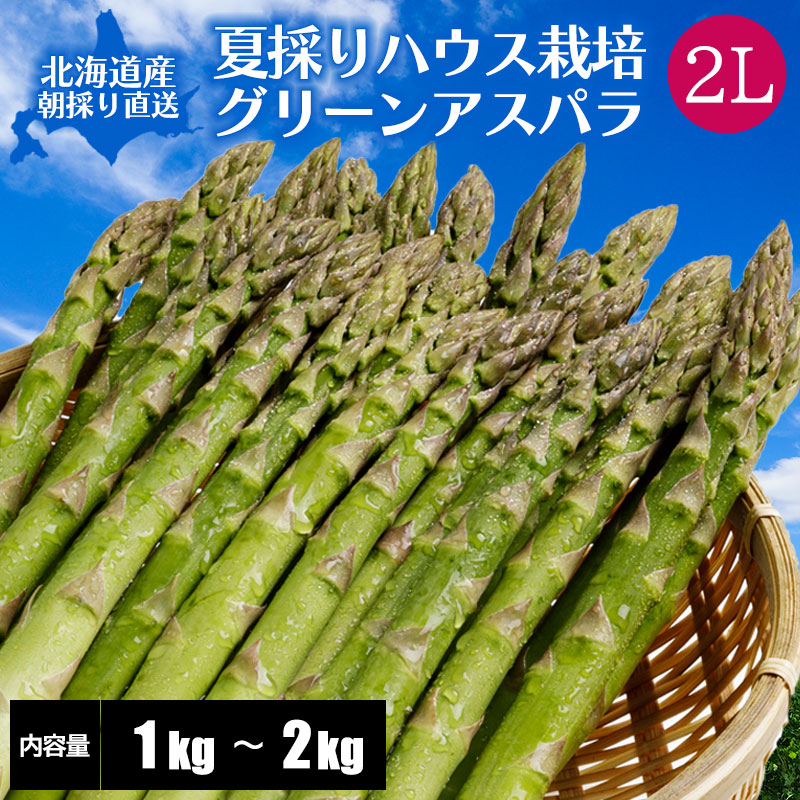 ２Ｌサイズ