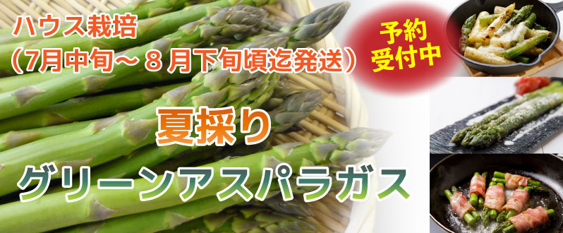 夏採りアスパラ予約受付中