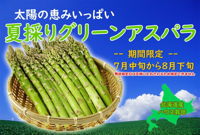 夏採りグリーンアスパラ