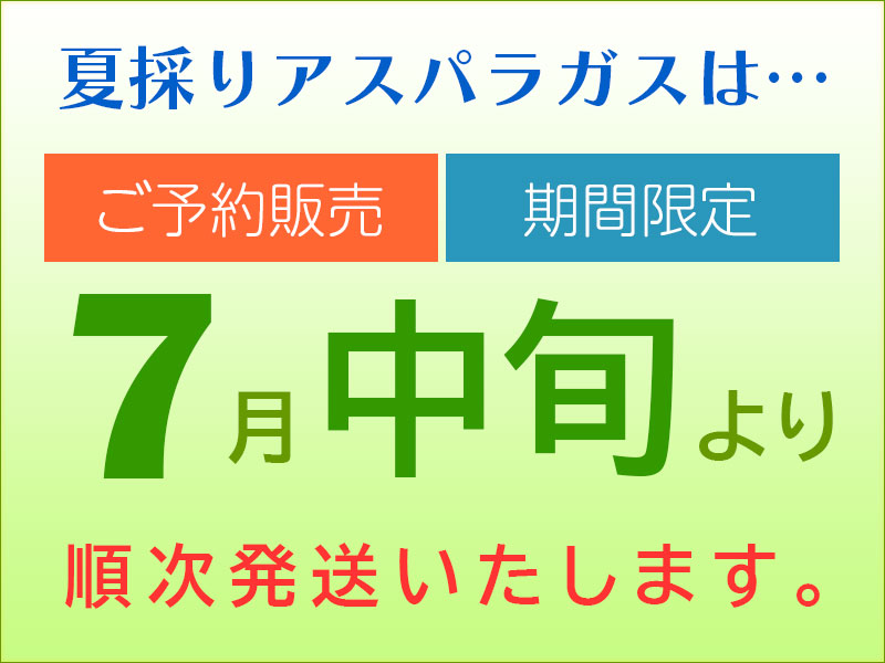 ７月中旬より順次発送