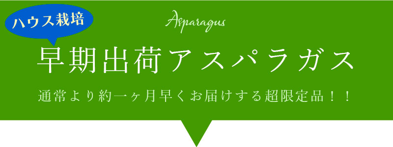 早期出荷アスパラガス