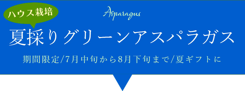 夏採りグリーンアスパラガス