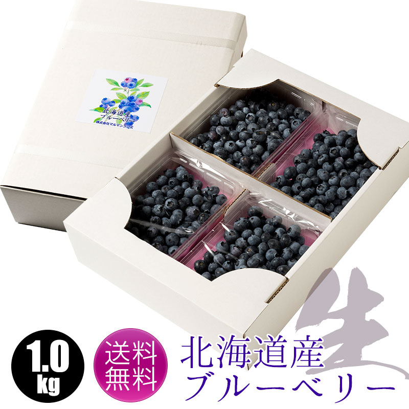 ブルーベリー
