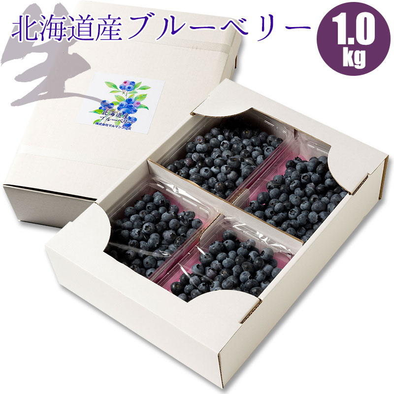 ブルーベリー