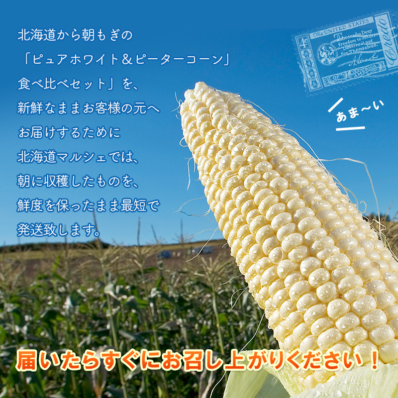 ピュアホワイト＋ピーターコーン