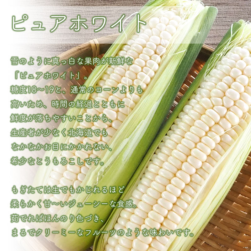 ピュアホワイト＋ピーターコーン