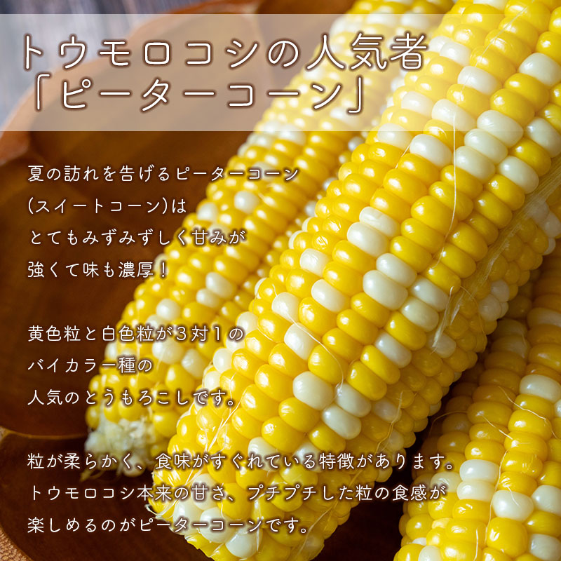 ピュアホワイト＋ピーターコーン