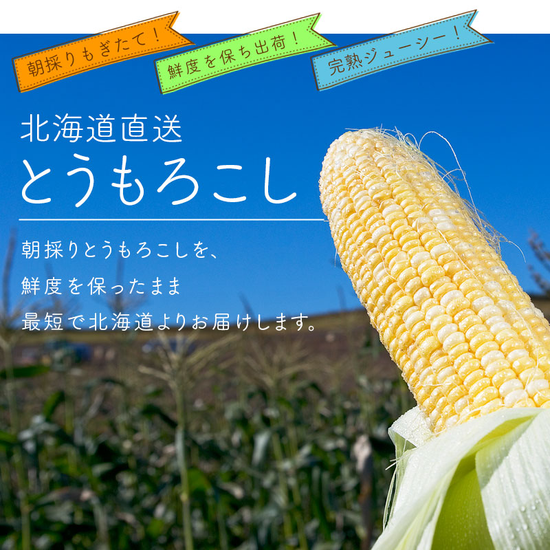 北海道直送「とうもろこし」