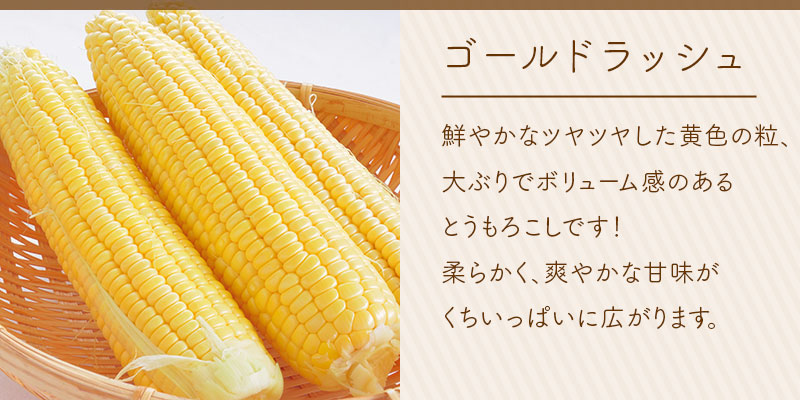 ゴールドラッシュ