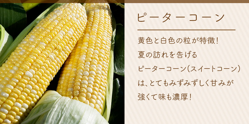 ピーターコーン