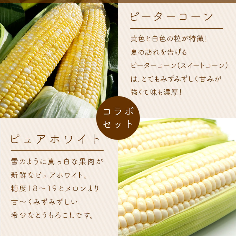 とうもろこしセット