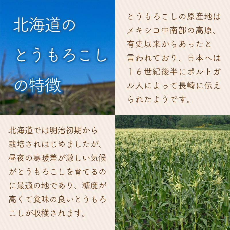 北海道のとうもろこしの特徴