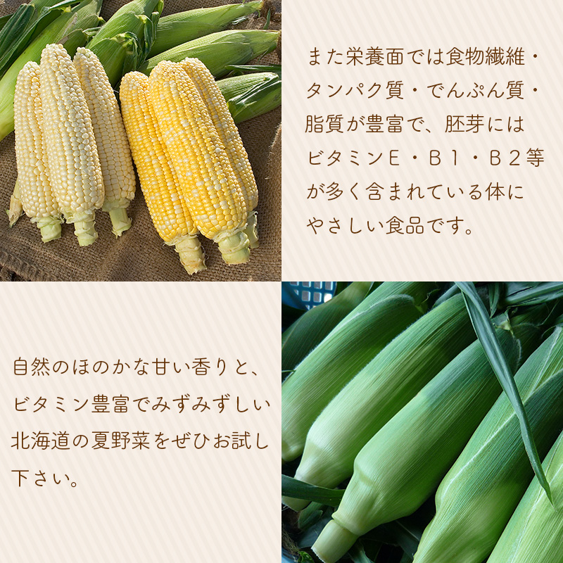 北海道のとうもろこしの特徴