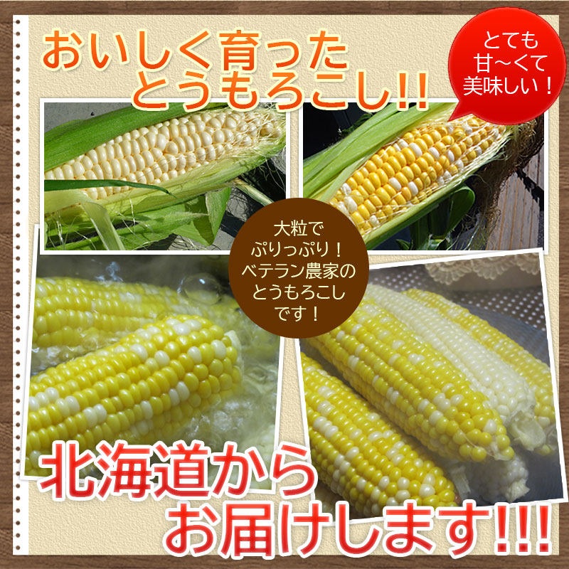 北海道十勝産訳あり ゴールドラッシュ トウモロコシ、とうもろこし ゴールドラッシュ』10kg（20 〜22本）【2025年度先行予約