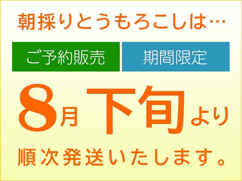8月下旬より順次発送