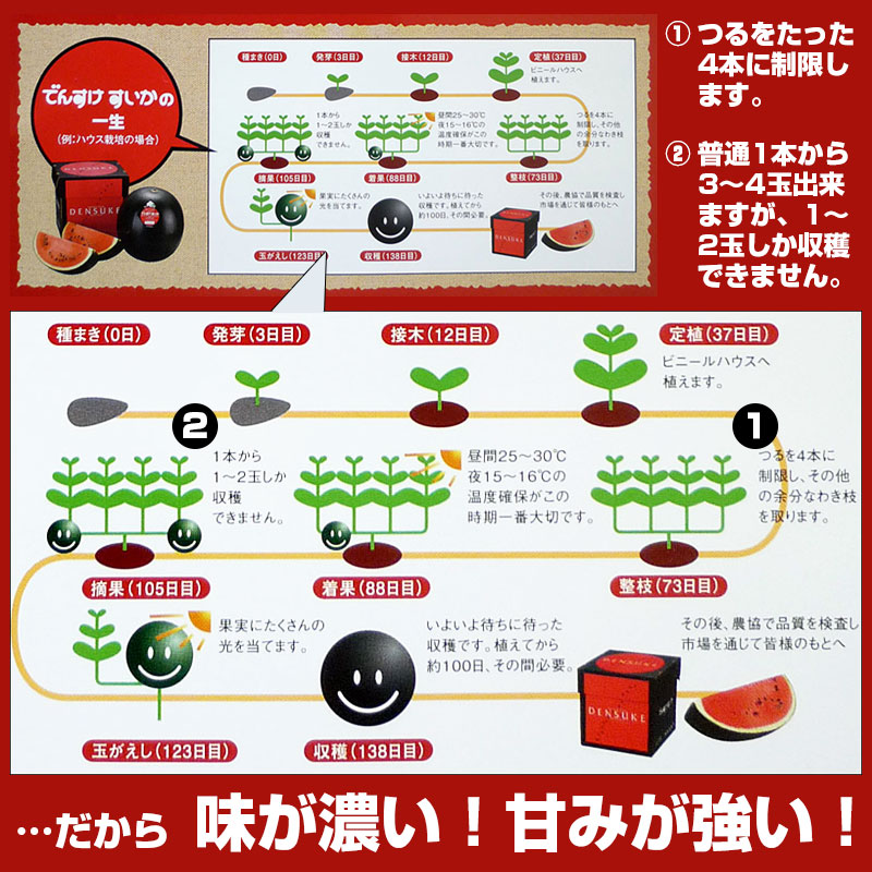 発送開始のお知らせ