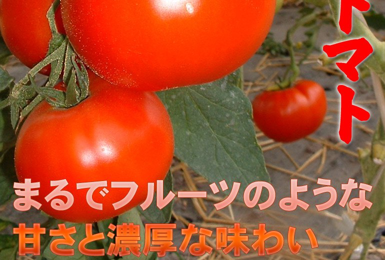 フルーツトマト
