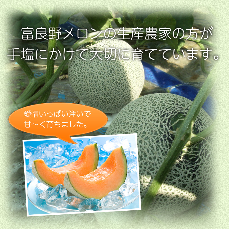北海道富良野メロン 北海道富良野産】ふらの赤肉メロン約1.3kg［1玉］のお取り寄せ