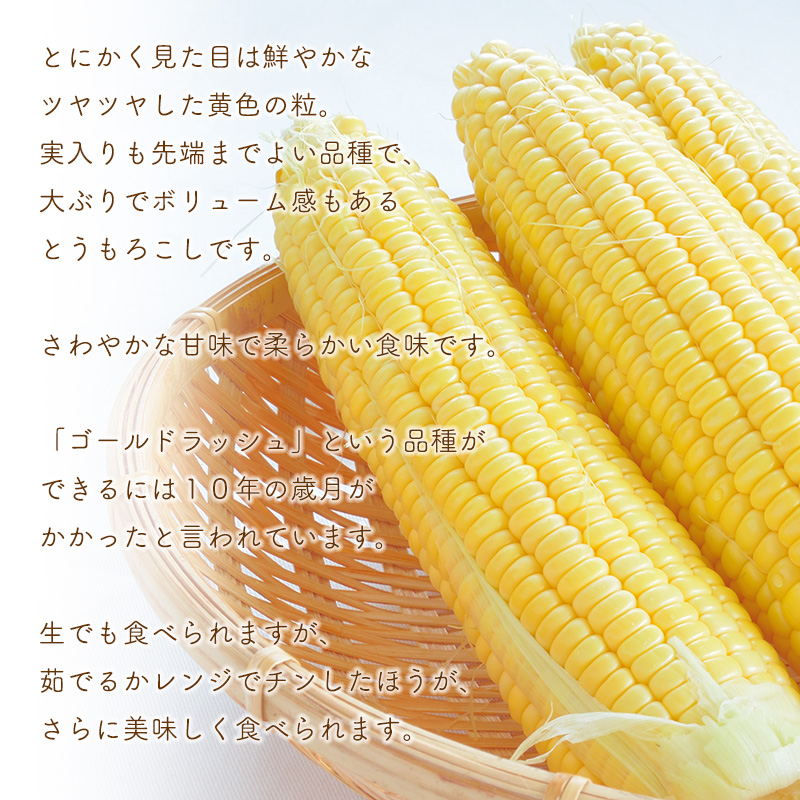 ゴールドラッシュ とうもろこし ギフト